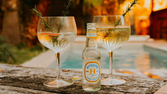4 recettes de délicieux cocktails avec les boissons Nativist ! 😋
