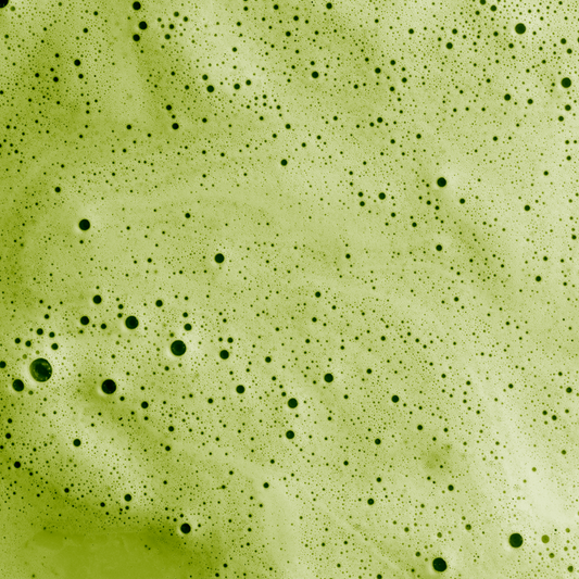 Le Matcha Bio Nümorning : L'art de la cérémonie Japonaise dans vos établissements 🍵