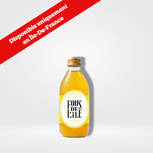 Fous de l'Île Kombucha Gingembre Bio verre - 12 x 330ml