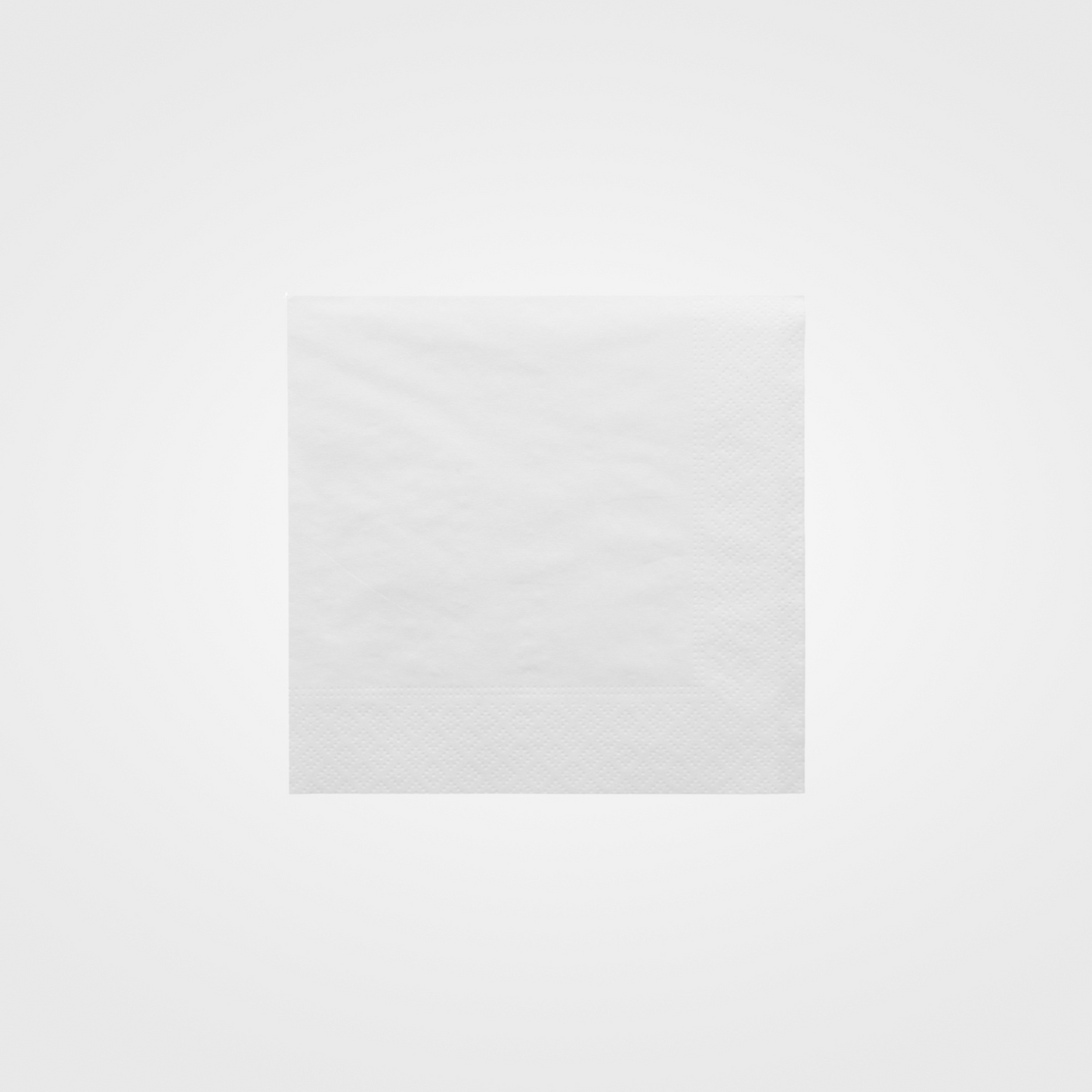 Serviettes Ecolabel 2 plis blanc (2400 unités)