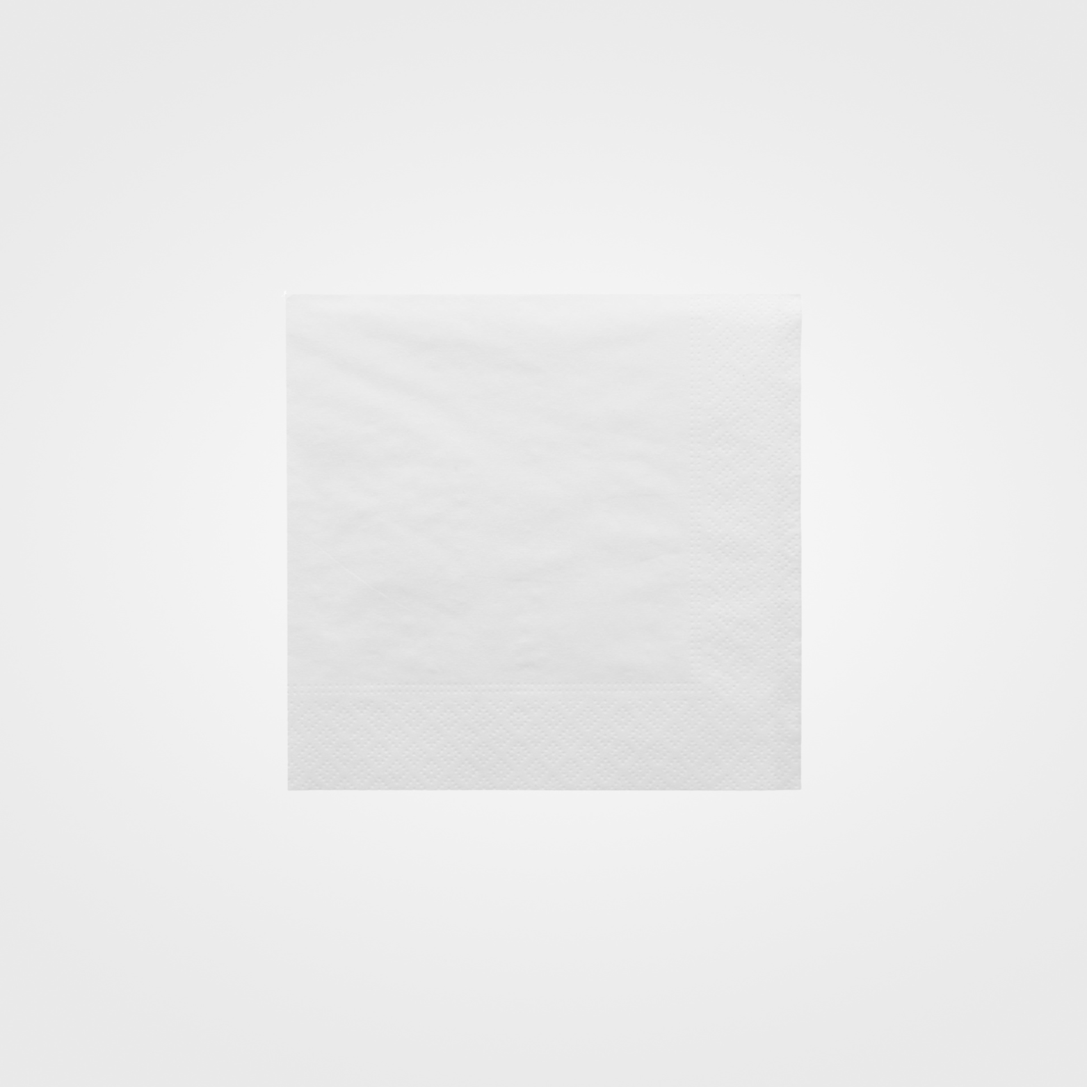 Serviettes Ecolabel 2 plis blanc (2400 unités)