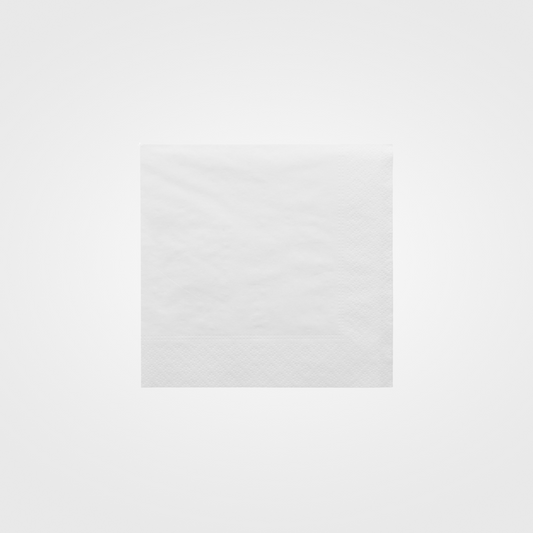 Serviettes Ecolabel 2 plis blanc (2400 unités)